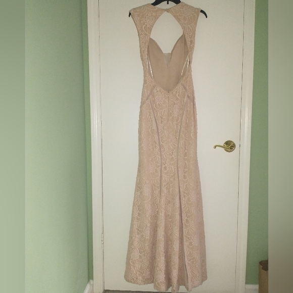 Women's Aqua beige illusion inset lace gown - Picture 14 of 14